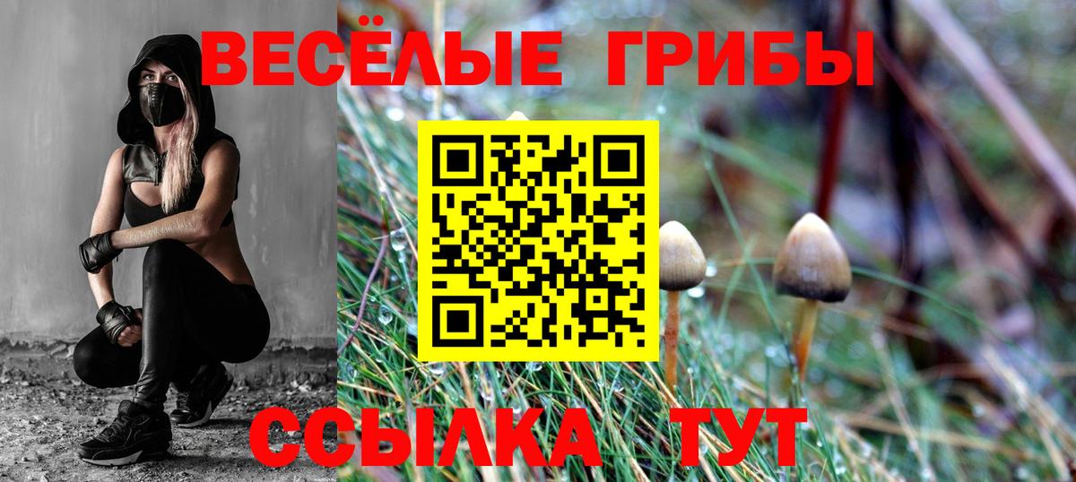 Люберцы  Псилоцибиновые грибы Magic Shrooms  где можно купить   Вход с VPN 